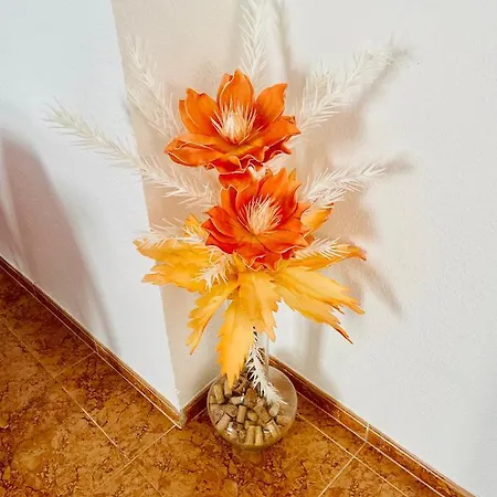 Alameda I Apartman *